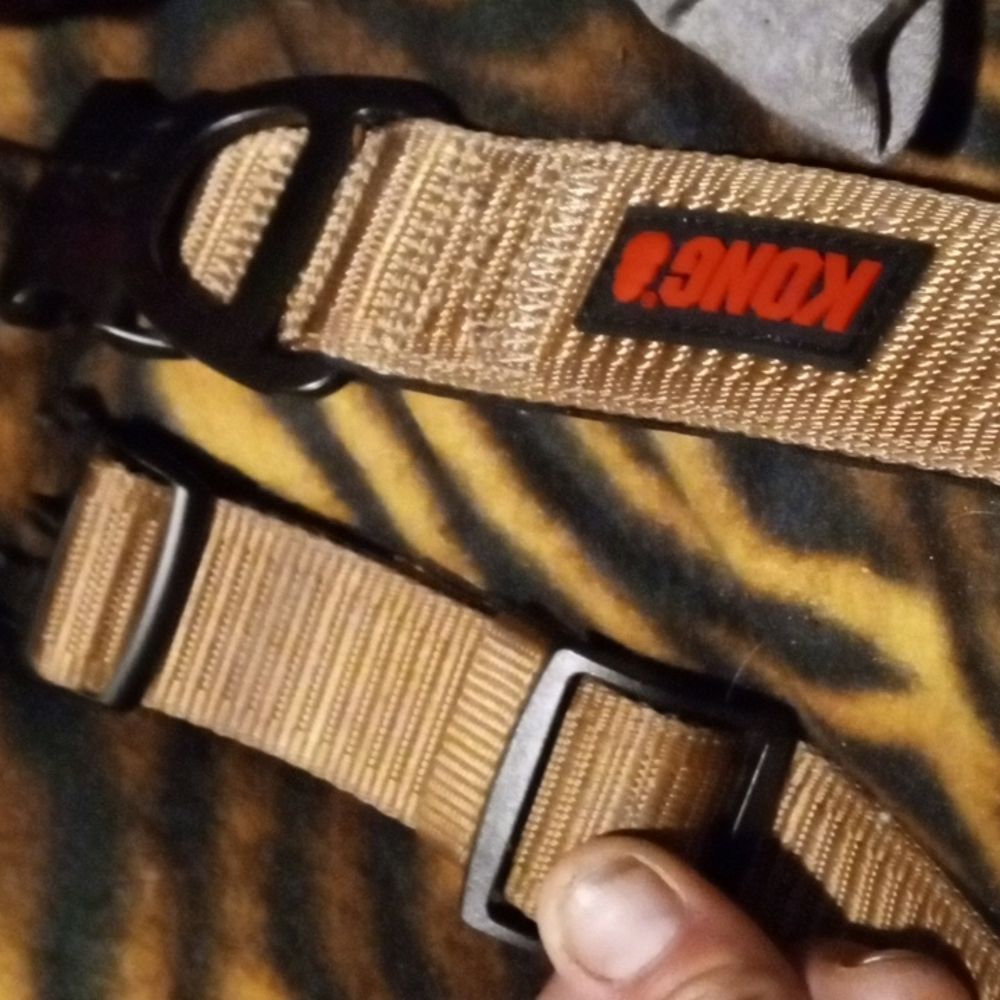 Kong 500lbs Limit dog collar